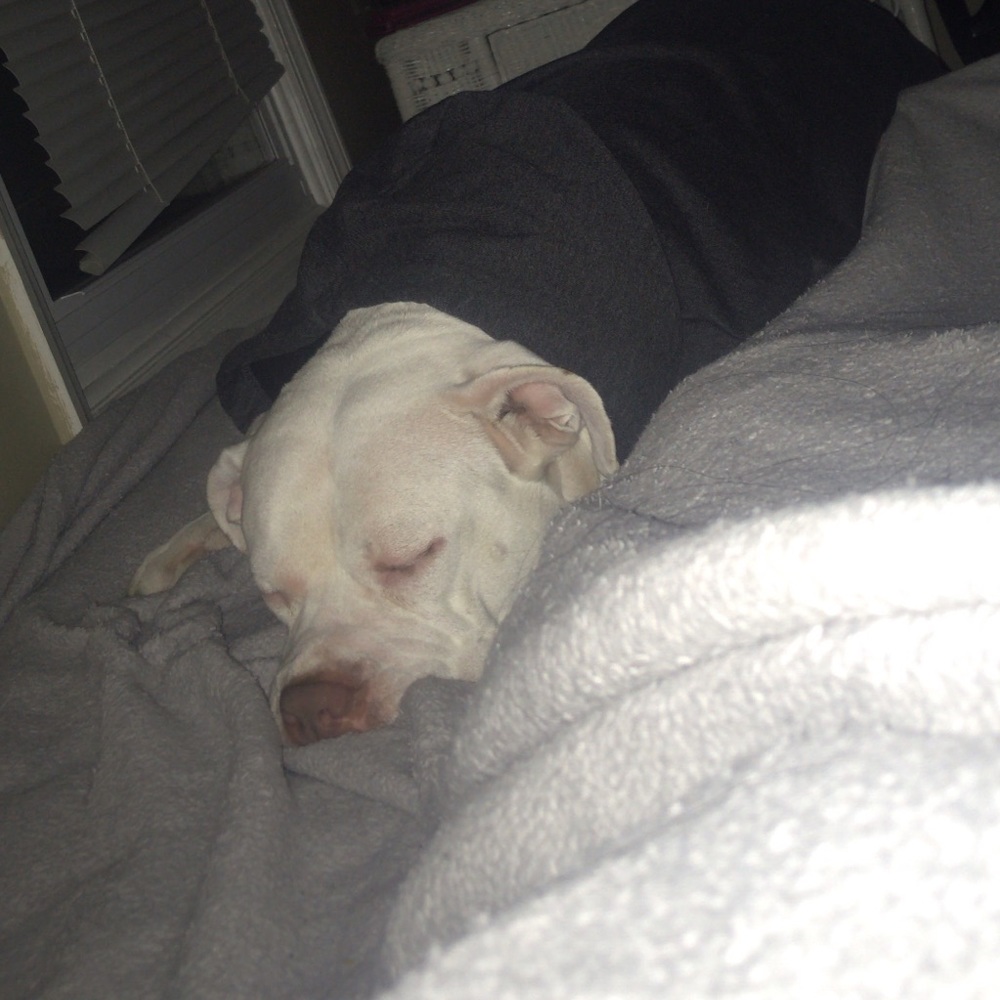 Meet your Posher, Katherine